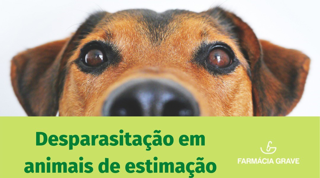 Desparasitação em animais de estimação